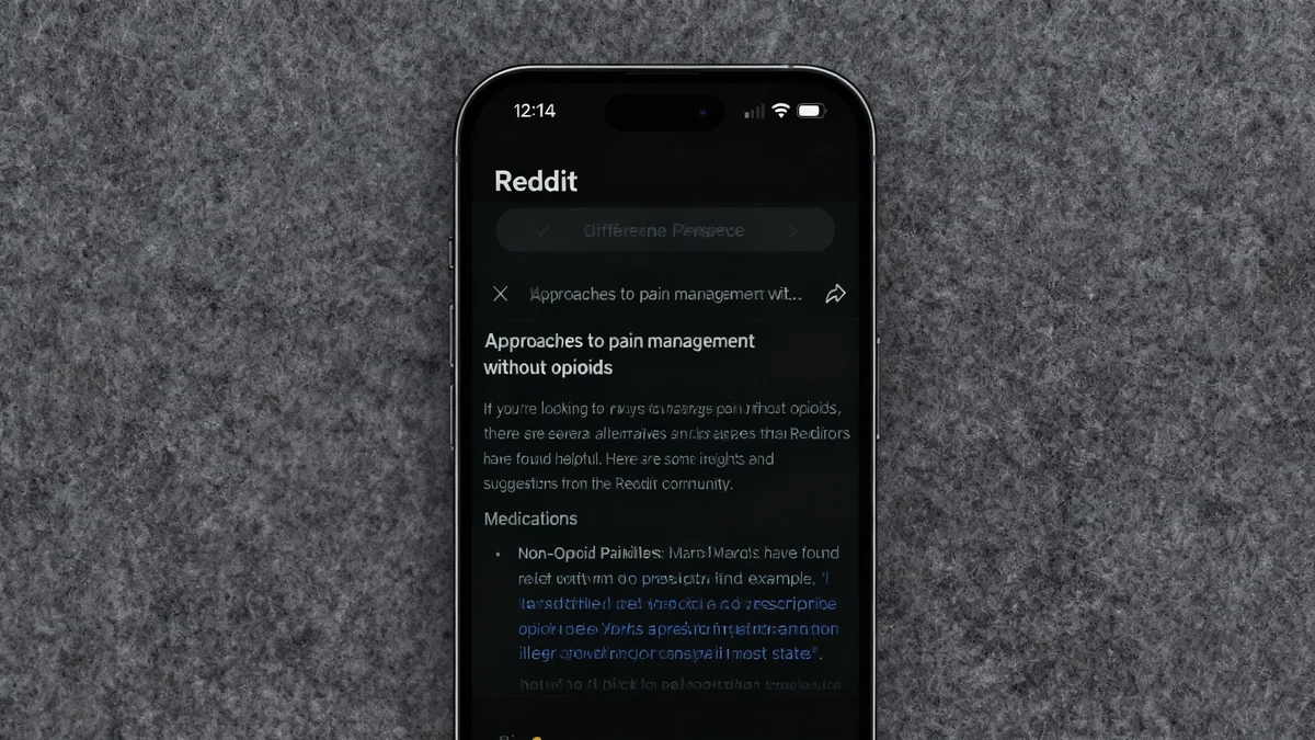 Reddit AI Suggested Heroin for Pain Management