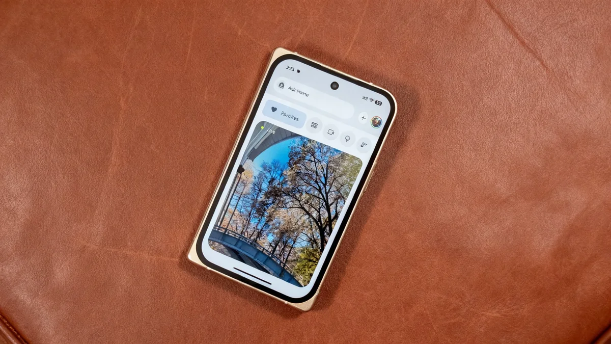 Google's Home AI Mistakes Pets for Intruders