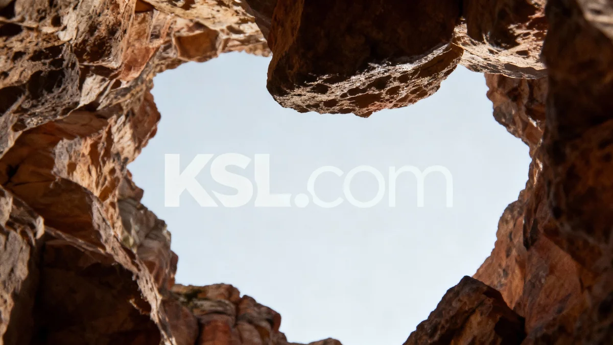 AI Tool Detects Parasites More Accurately Than Humans