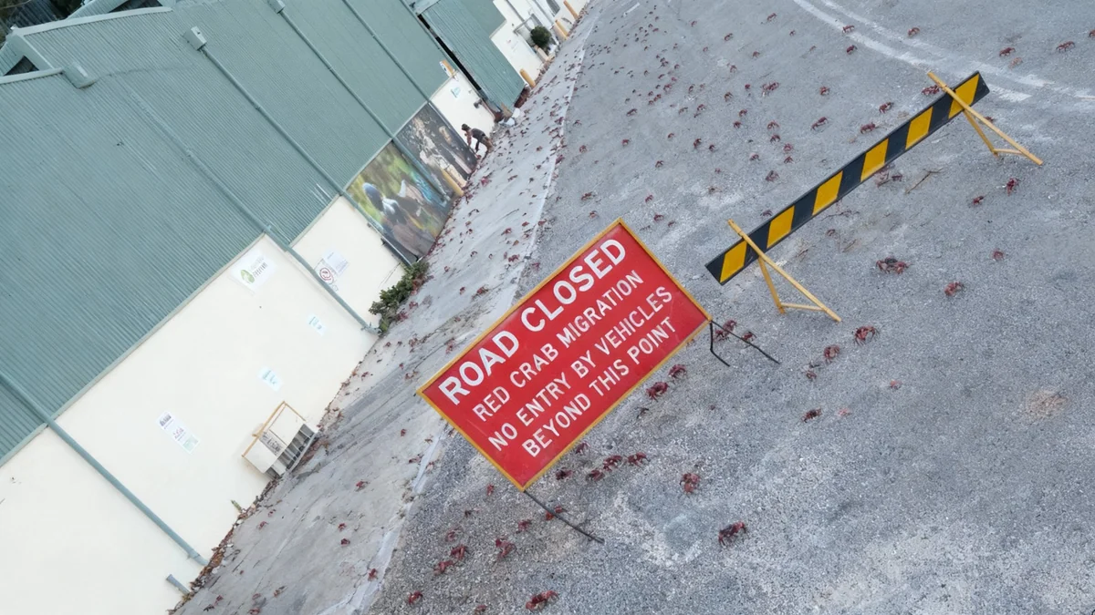 Google Plans Data Center on Strategic Christmas Island