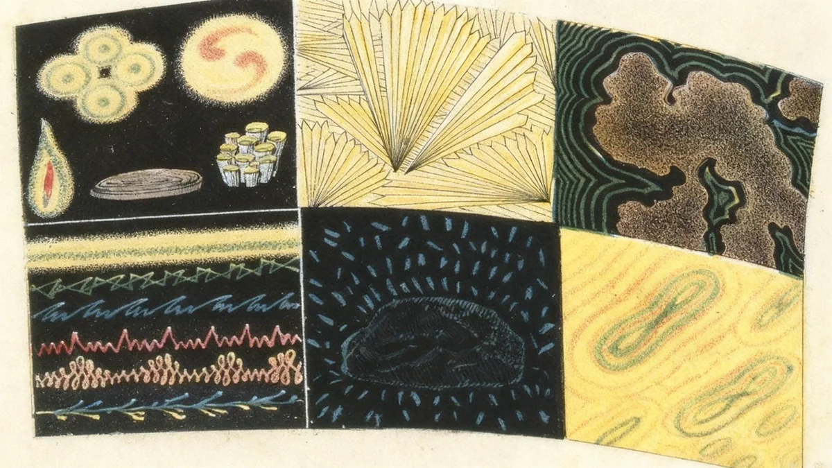 New Book Questions AI's Ability to Replicate Human Mind